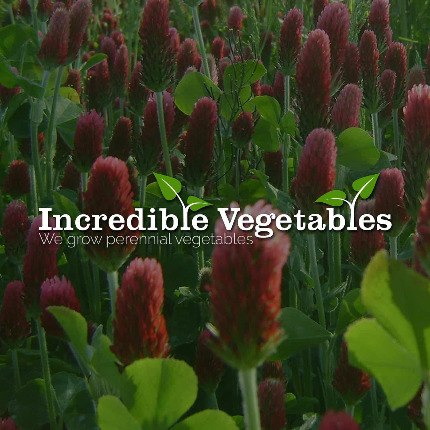 Incredible Vegetables